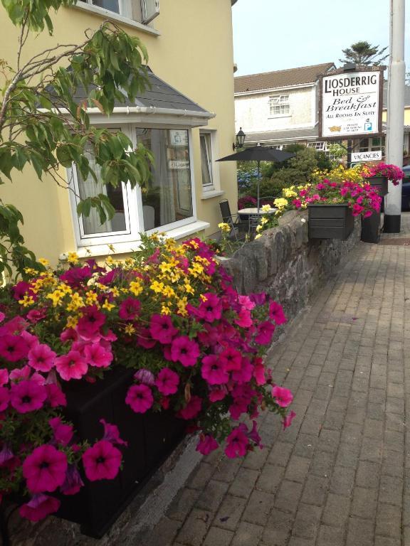 Liosderrig House B&B Glenbeigh Extérieur photo